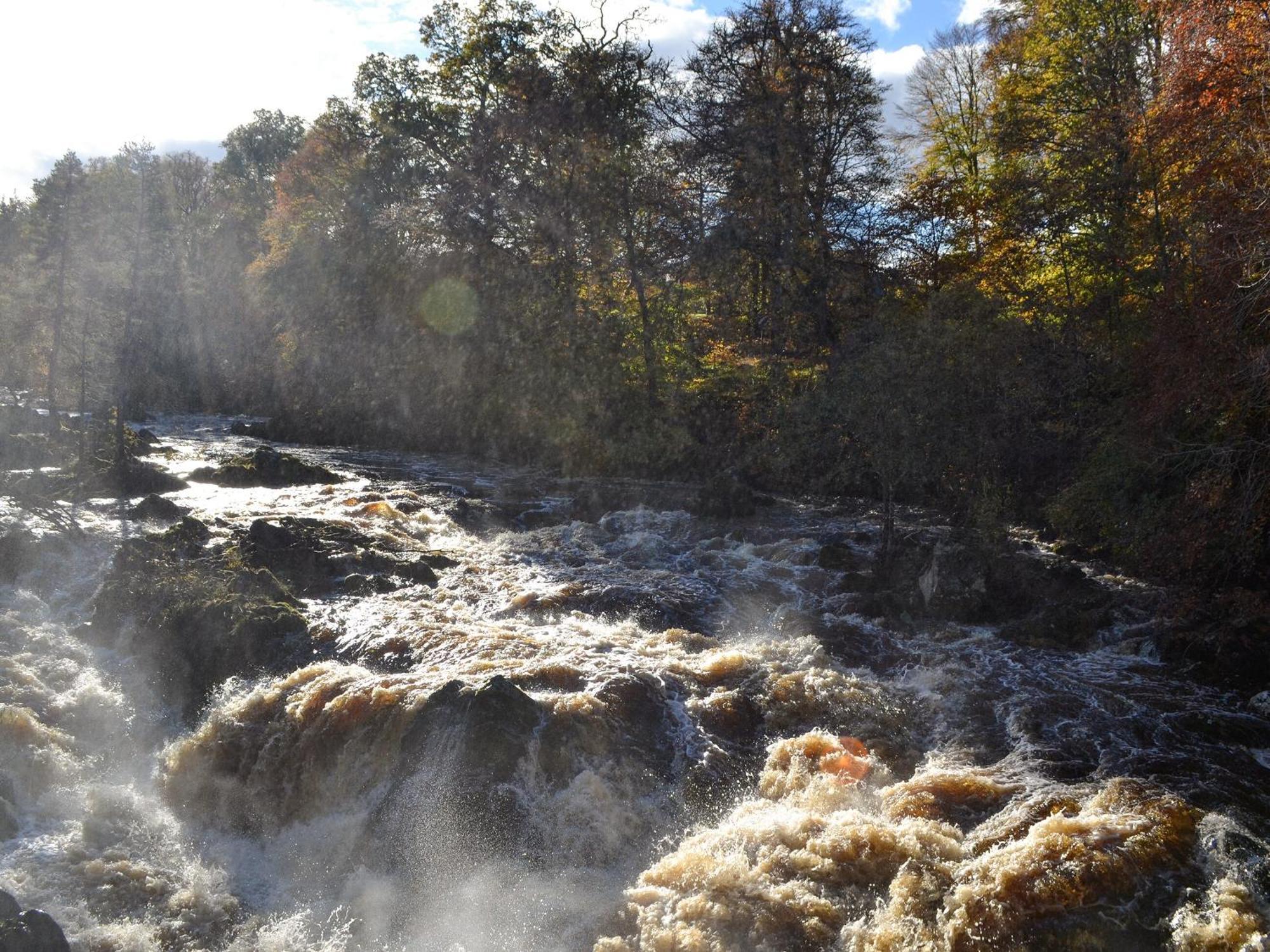 Toll Bridge Lodge Banchory Zewnętrze zdjęcie