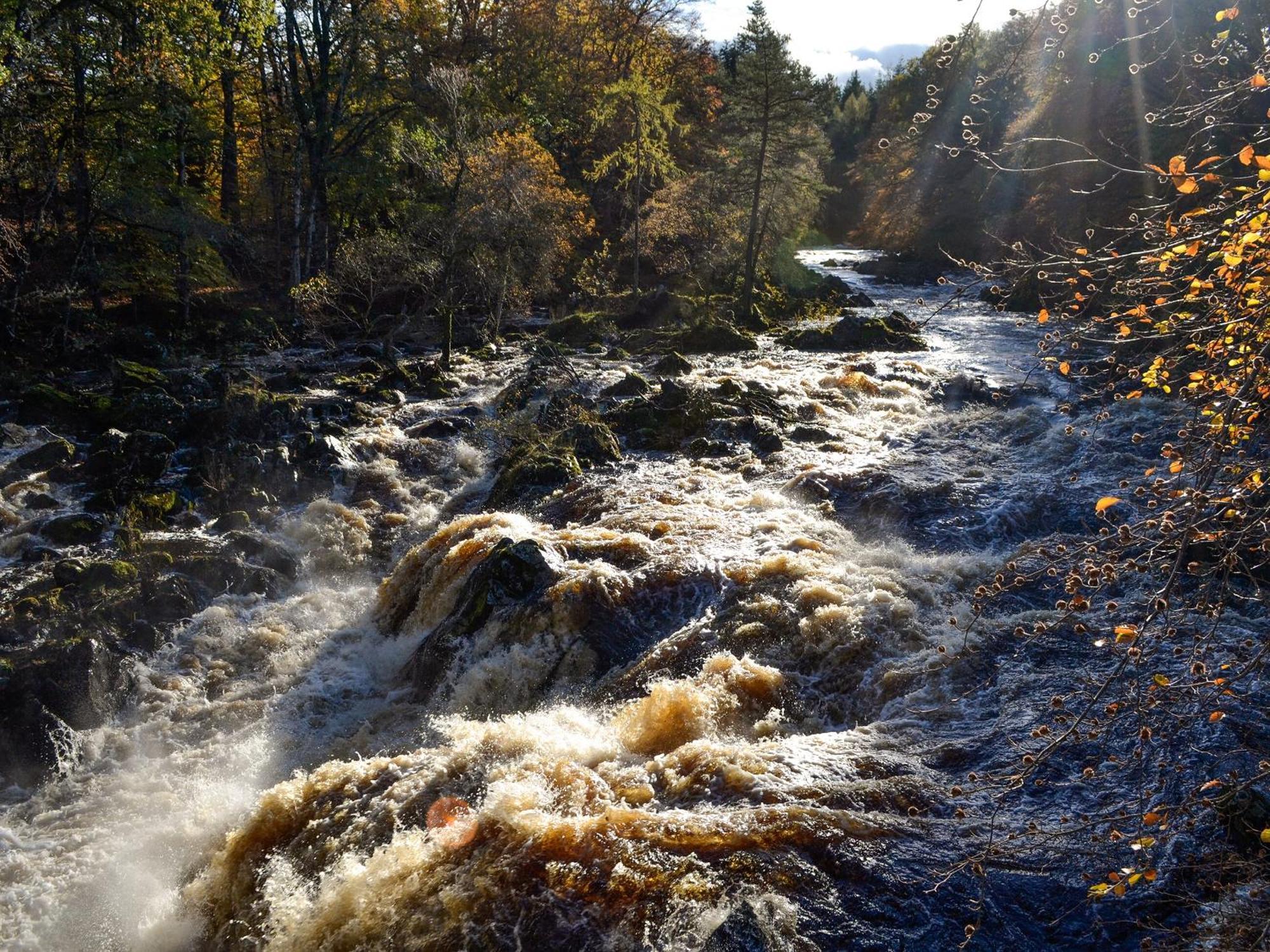 Toll Bridge Lodge Banchory Zewnętrze zdjęcie